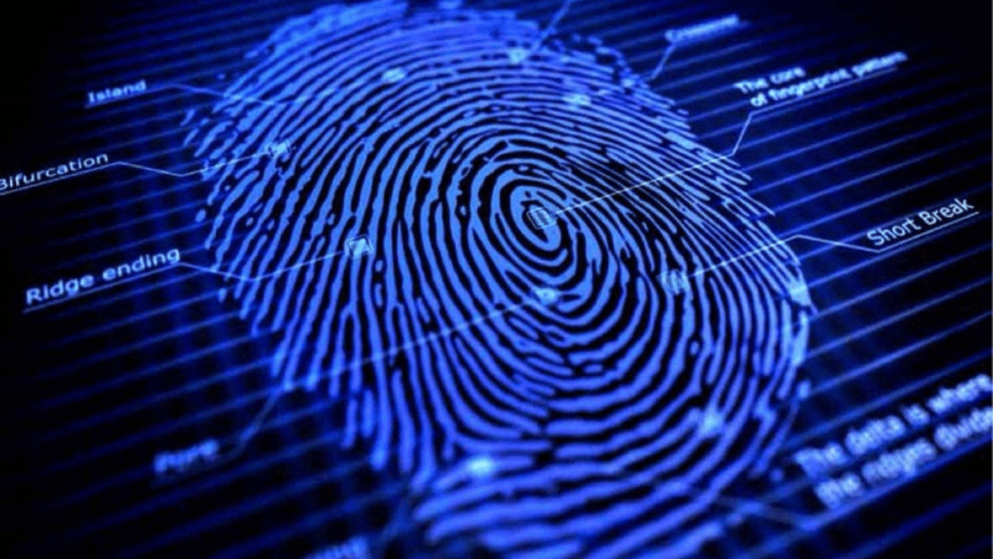 Biometric Gender Recognition: Exploring Bias and Equality