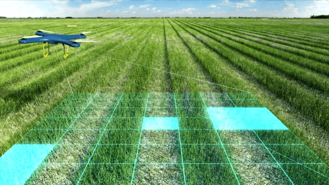 Video Analytics for Smart Agriculture: Revolutionizing Precision Farming