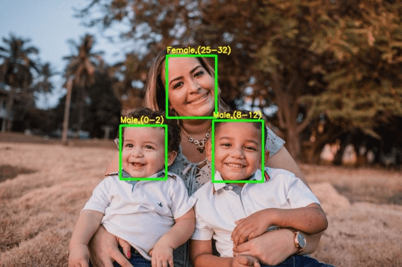 Machine Learning for Gender Detection: Fundamentals, Challenges, and Future Directions