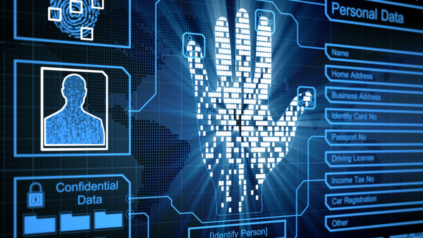 Flexible Biometric Integration Services: Enhancing Privacy in Data Industries